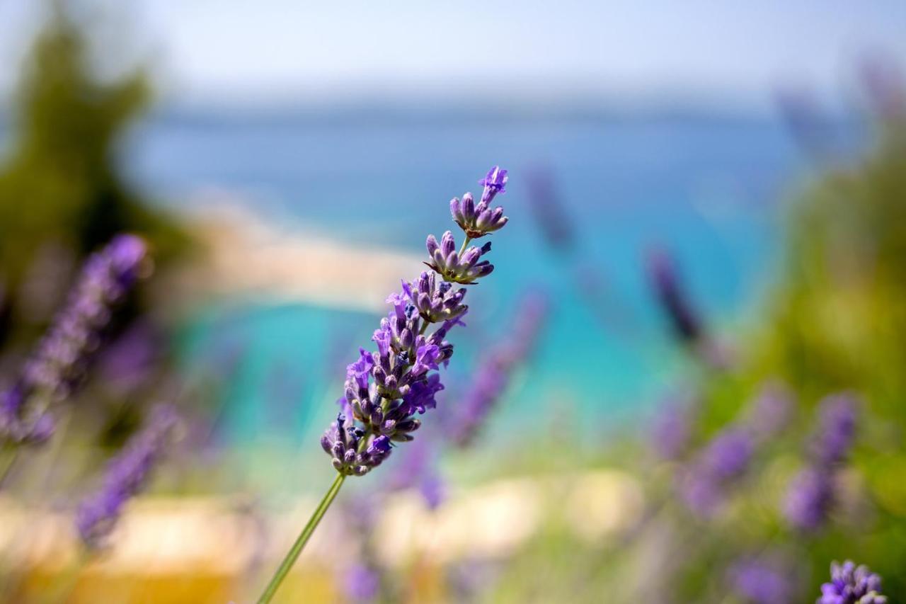 Blue Bay Residence Hvar Town Esterno foto